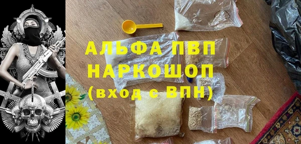 шишки Богородицк